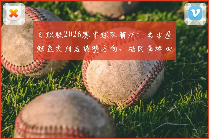 日职联2026赛季球队解析：名古屋鲸鱼失利后调整方向，福冈黄蜂回暖状态能否延续